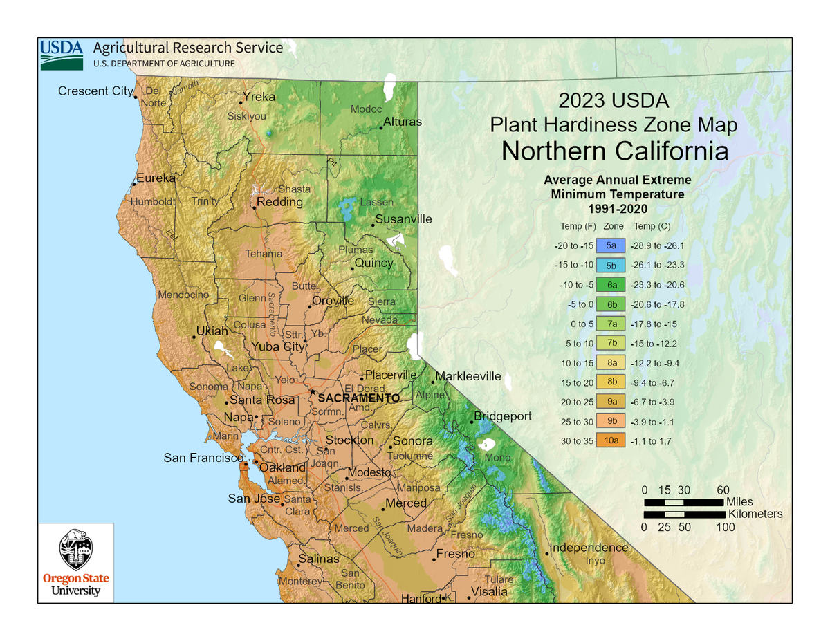 best plants to grow in 95321 (Northern California)