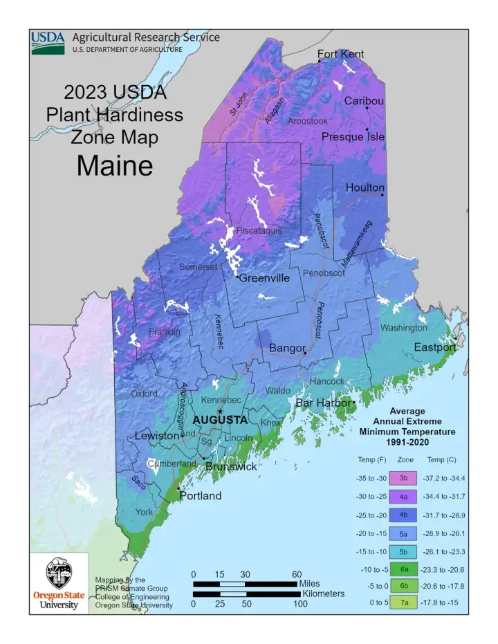plants by zone map for Chisholm, ME