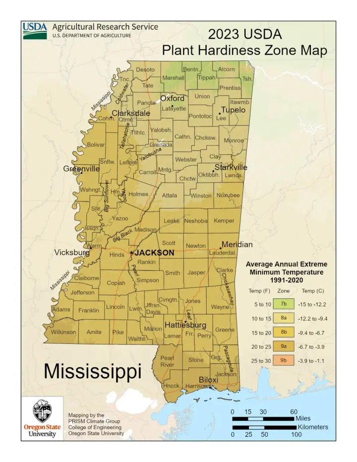 plants by zone map for Mississippi
