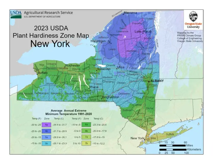 plants by zone map for New York, NY